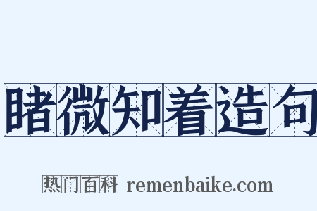 睹微知着造句是什么意思的图片